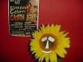 Catch A Sunflower
